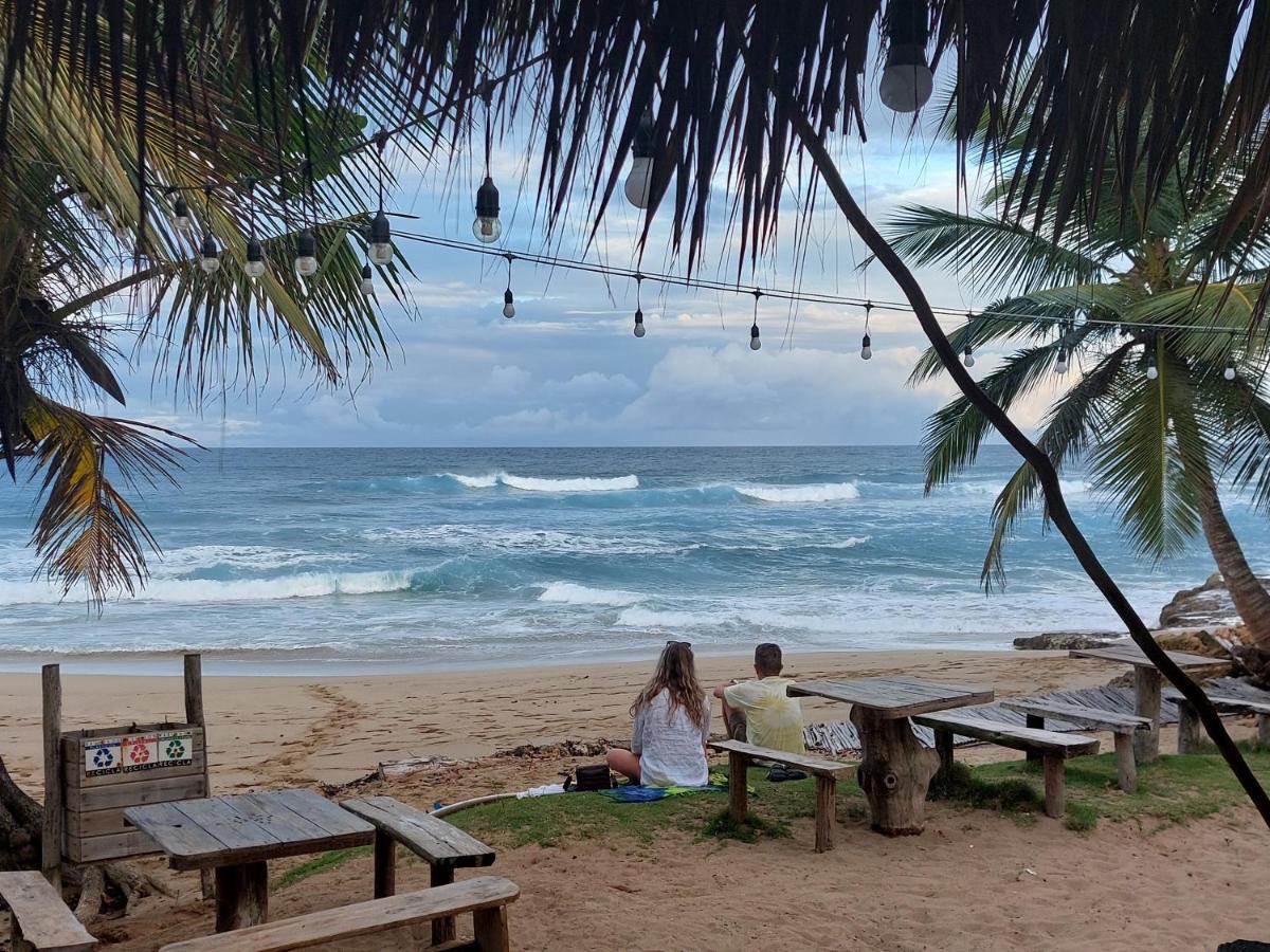 Cabarete Maravilla Eco Lodge Boutique Beach Surf Encuentro, Kite, By Aa Crypto Group Eksteriør billede