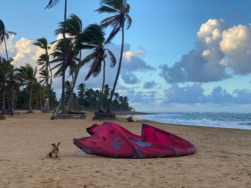 Cabarete Maravilla Eco Lodge Boutique Beach Surf Encuentro, Kite, By Aa Crypto Group Eksteriør billede