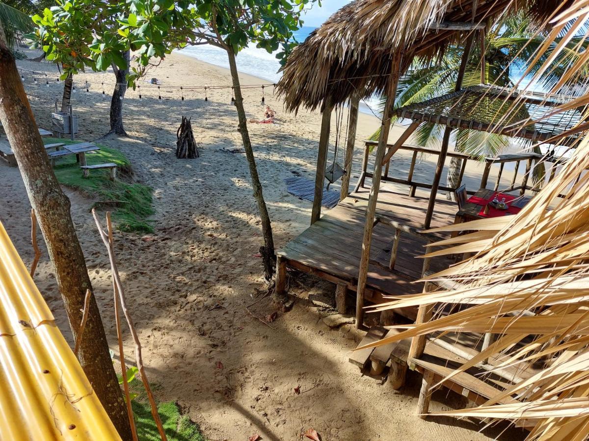 Cabarete Maravilla Eco Lodge Boutique Beach Surf Encuentro, Kite, By Aa Crypto Group Eksteriør billede