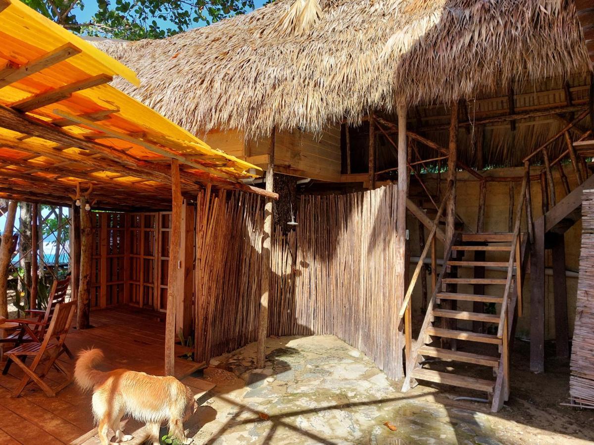 Cabarete Maravilla Eco Lodge Boutique Beach Surf Encuentro, Kite, By Aa Crypto Group Eksteriør billede