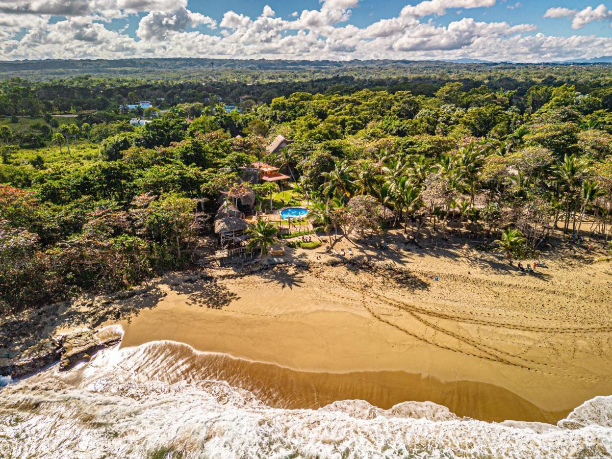 Cabarete Maravilla Eco Lodge Boutique Beach Surf Encuentro, Kite, By Aa Crypto Group Eksteriør billede