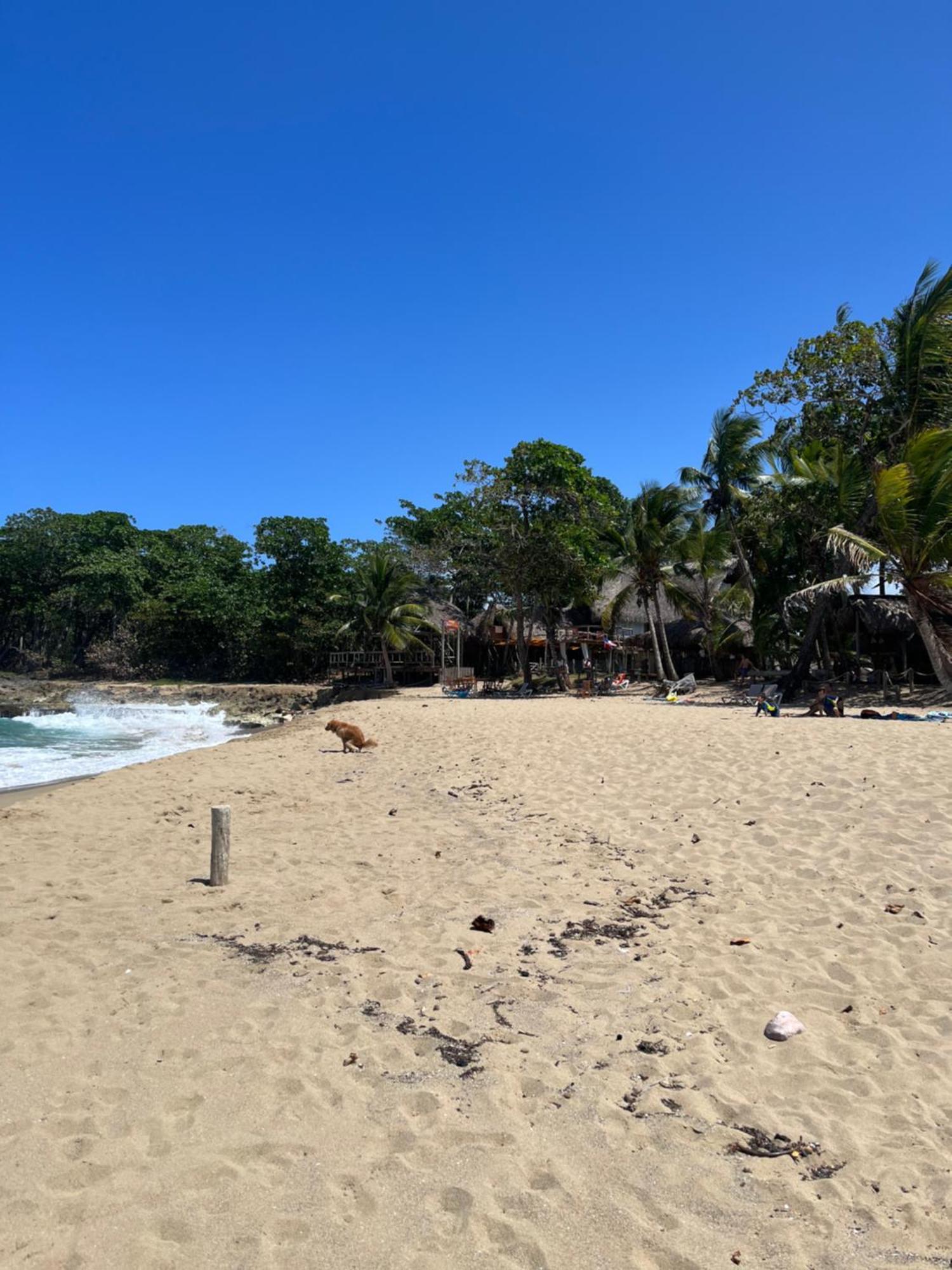 Cabarete Maravilla Eco Lodge Boutique Beach Surf Encuentro, Kite, By Aa Crypto Group Eksteriør billede