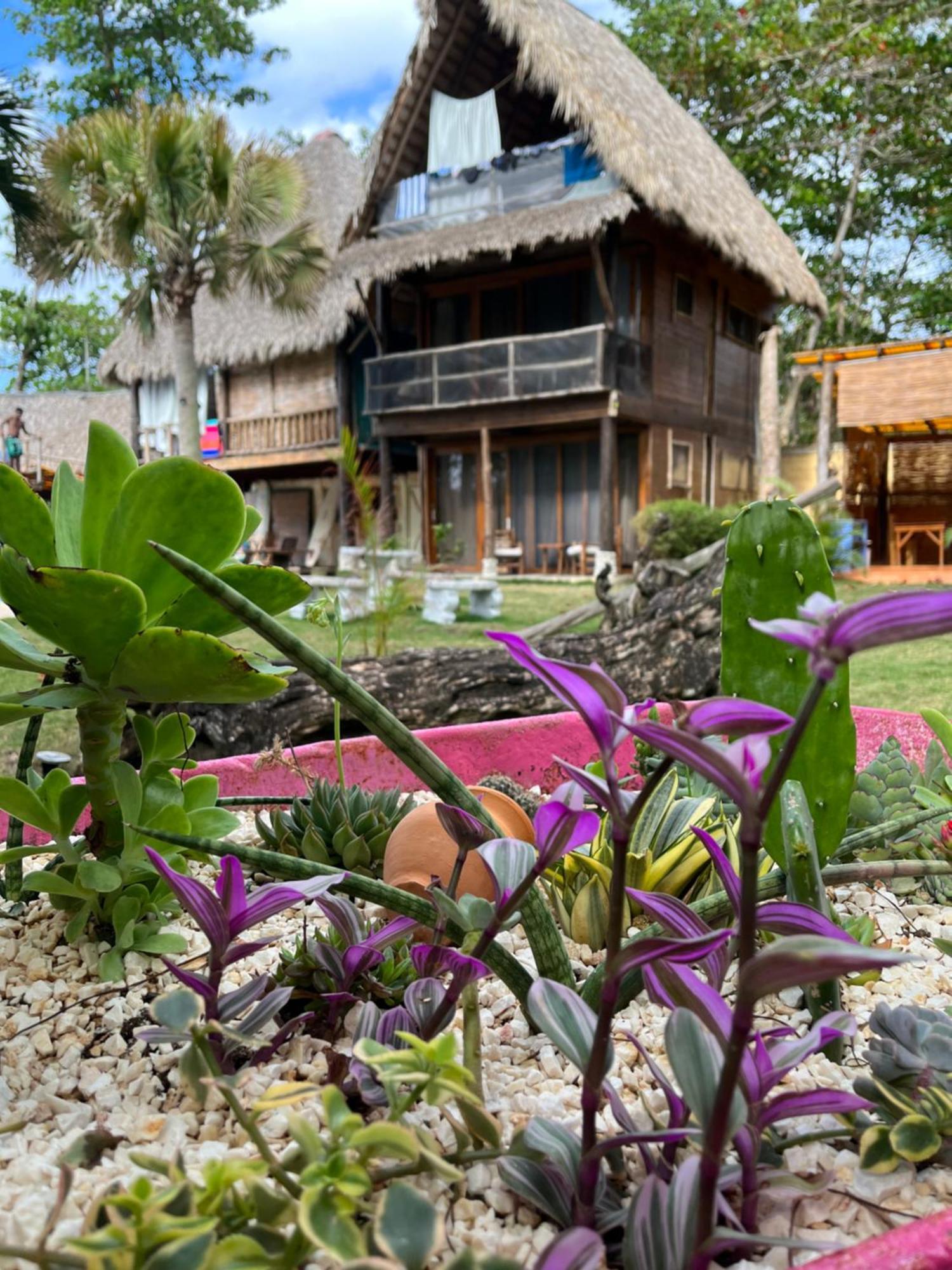Cabarete Maravilla Eco Lodge Boutique Beach Surf Encuentro, Kite, By Aa Crypto Group Eksteriør billede