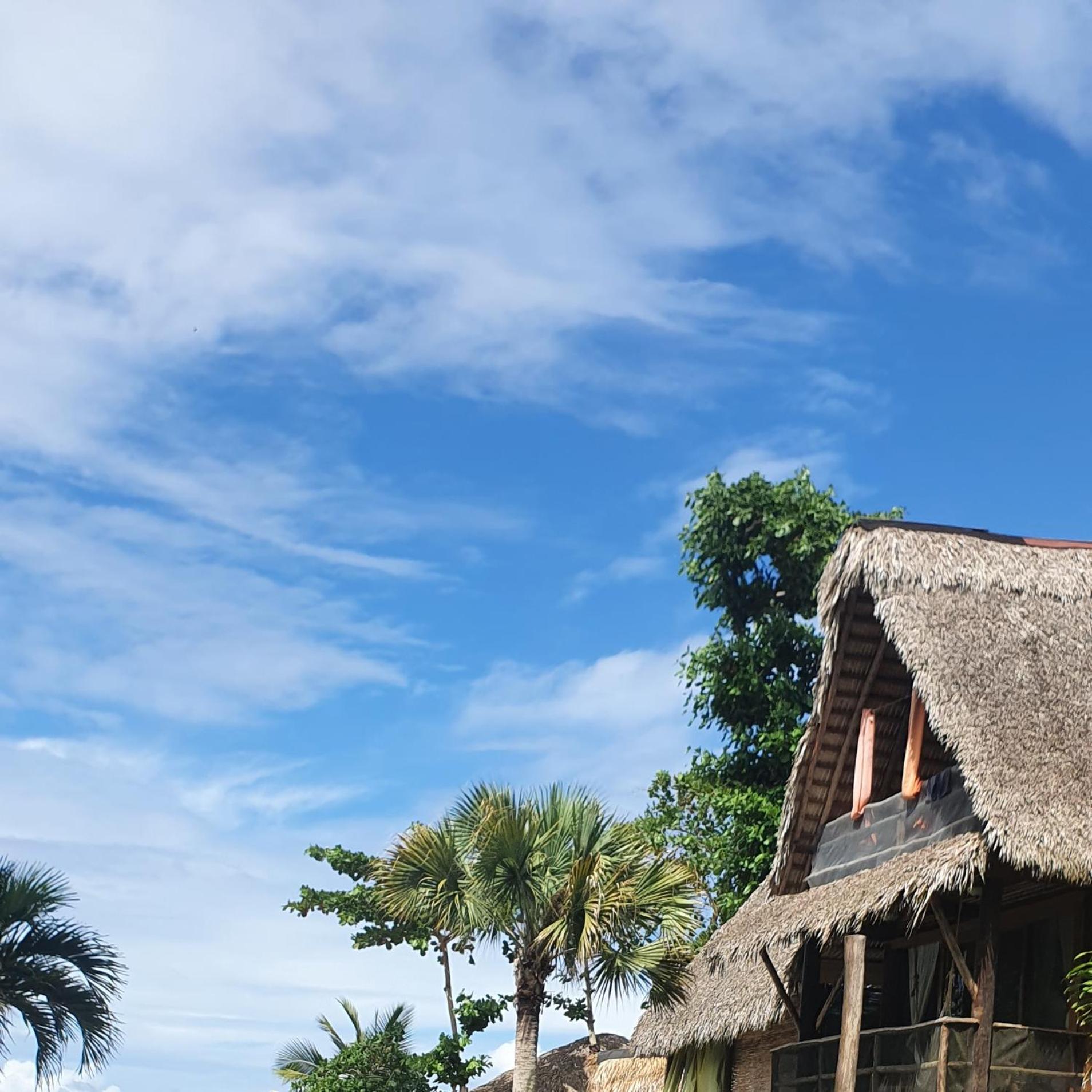 Cabarete Maravilla Eco Lodge Boutique Beach Surf Encuentro, Kite, By Aa Crypto Group Værelse billede